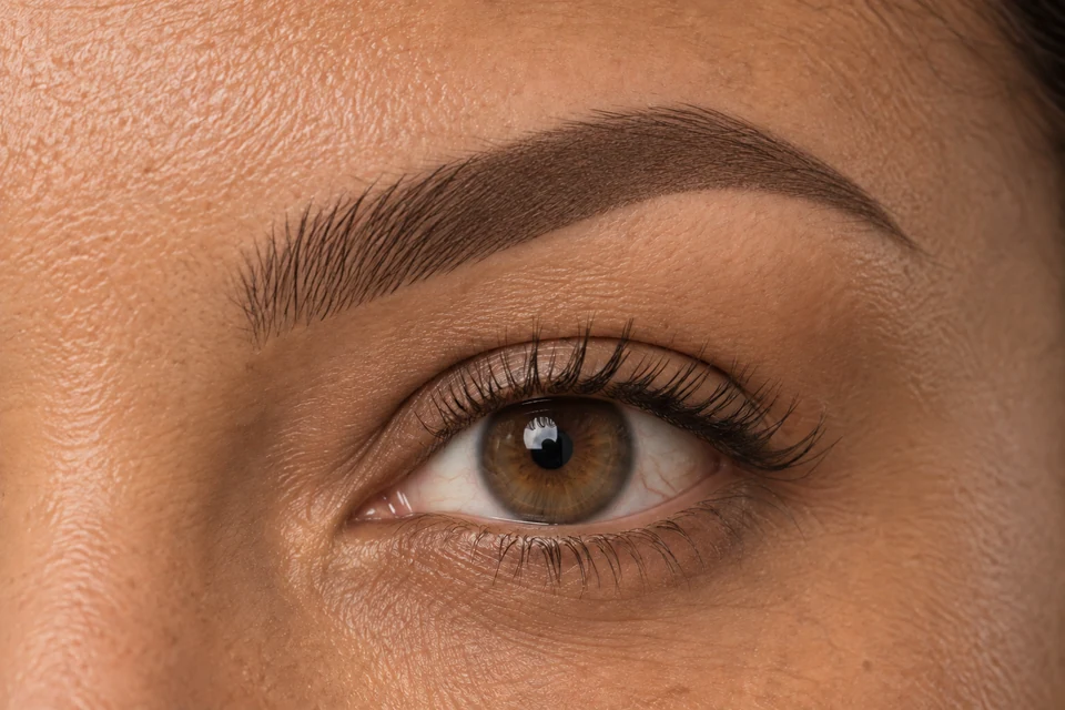 Illustration of an eyebrow combining distinct hairlike strokes at the front with soft shading through the body and tail.